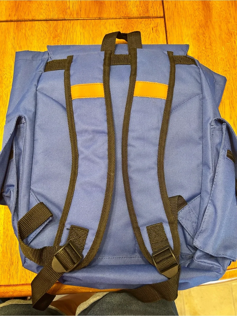 Disney Royal Blue Backpack with Brown Trim